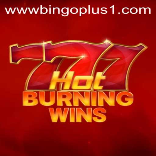 Exploring the Thrills of HotBurningWins: An In-Depth Look
